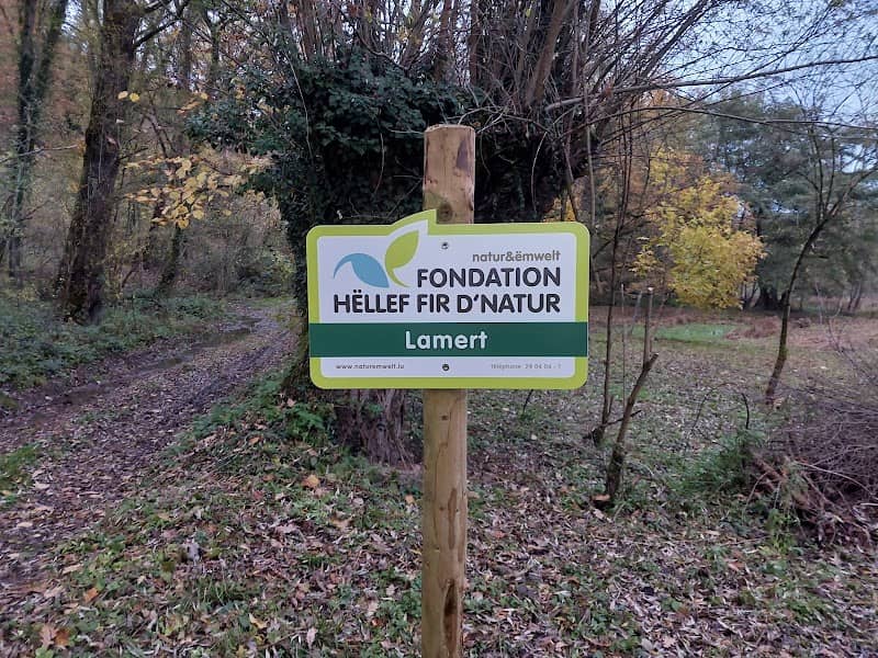LAMERT nature reserve - Image 2