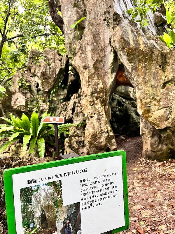 骨盤石 - Image 2