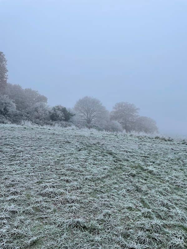 Rydes Hill Common Trails - Image 2