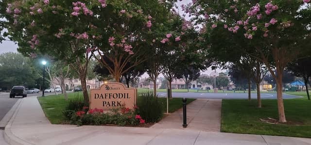 Daffodil Park - Image 2