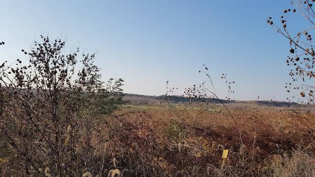 Tuttle Creek Wildlife Area - Image 2