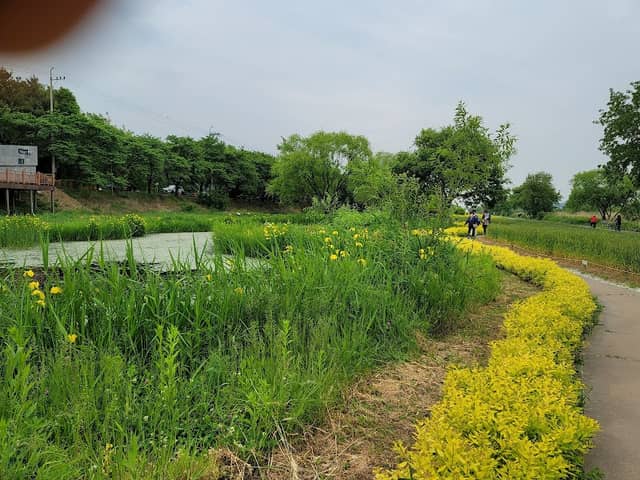 Tancheon Freshwater Ecological Park - Image 1