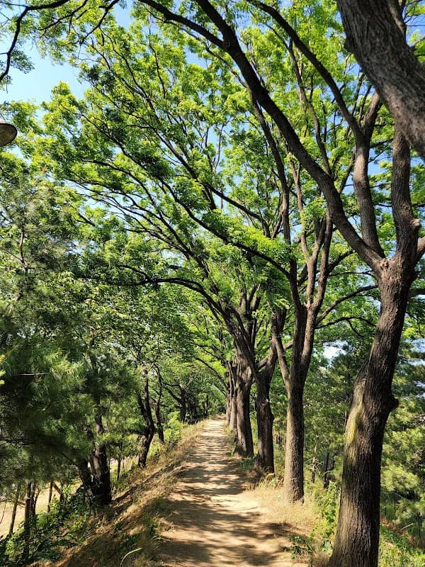Tancheon Freshwater Ecological Park - Image 2