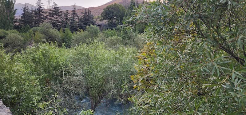Karaj River - Image 2