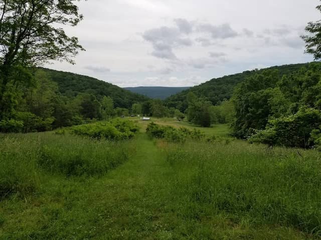 Burgundy Center for Wildlife Studies - Image 2