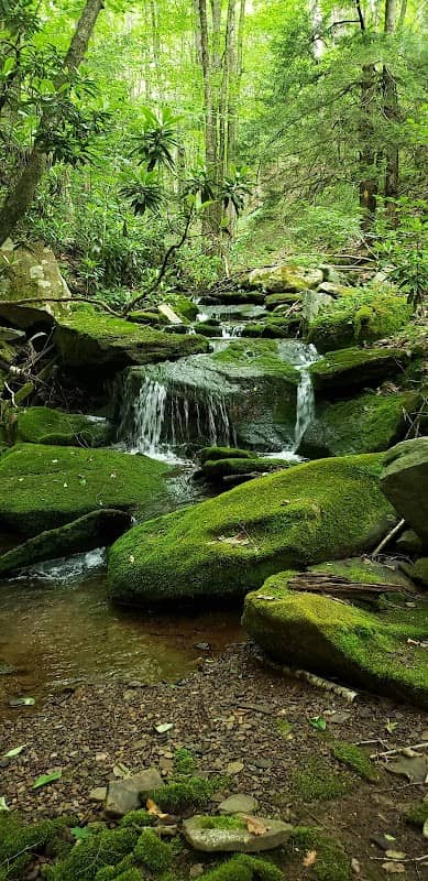 Quehanna Wild Area - Image 1