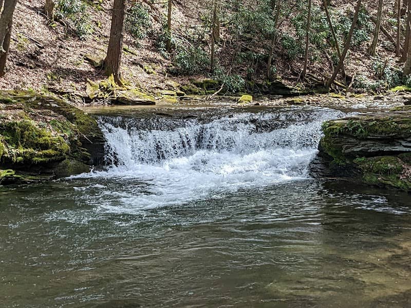 Quehanna Wild Area - Image 2