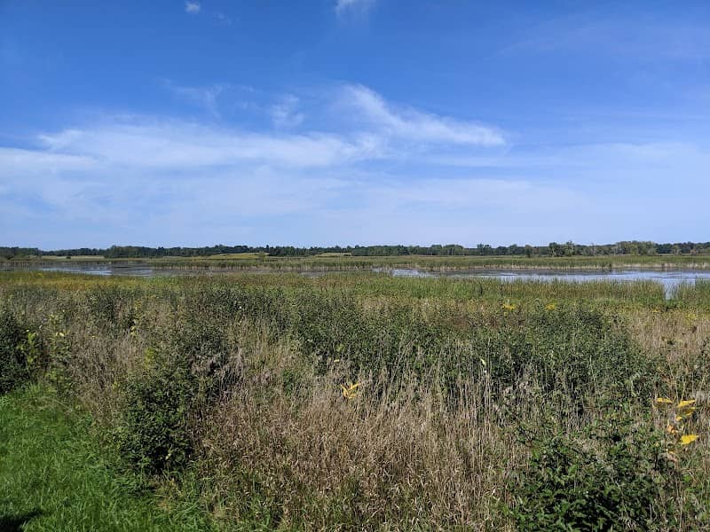 Cayuga Marsh Overlook - Image 1