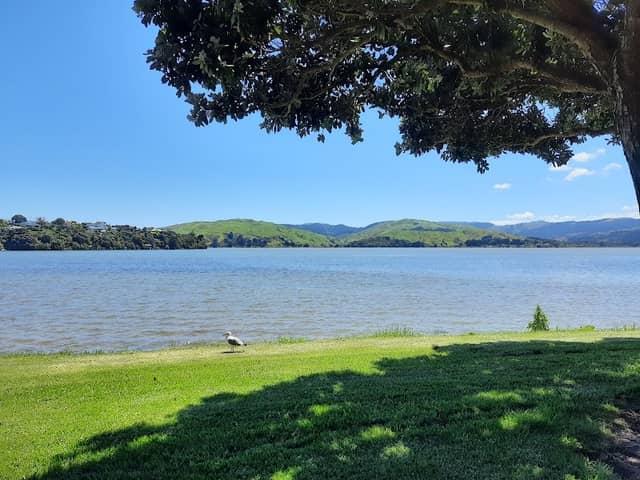 Browns Bay Park - Image 1