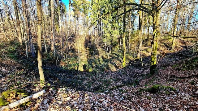 Großdoline Kripfenloch - Image 1