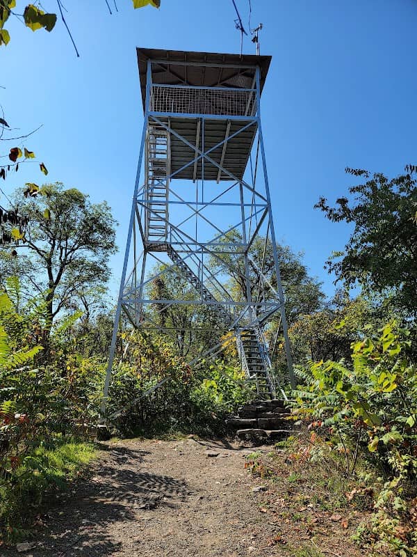 Woodstock Tower - Image 3