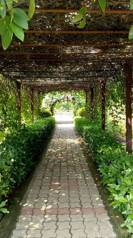 Butterfly Garden - Image 1