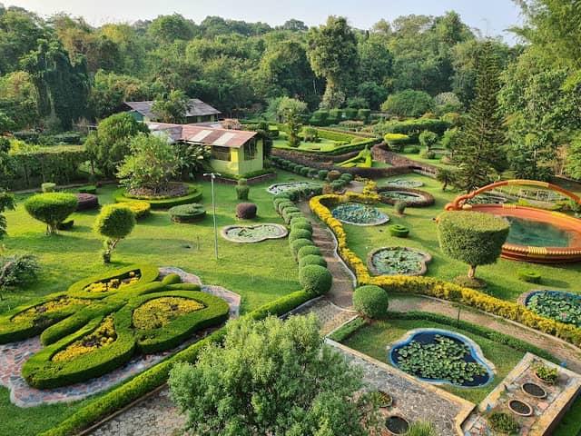 Butterfly Garden - Image 3