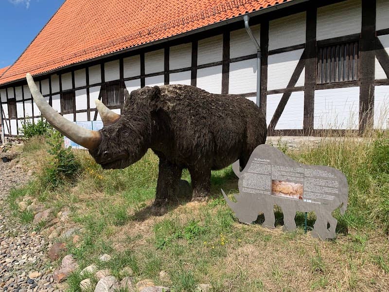 Eiszeitgarten im Städtischen Museum Schloss Salder - Image 1