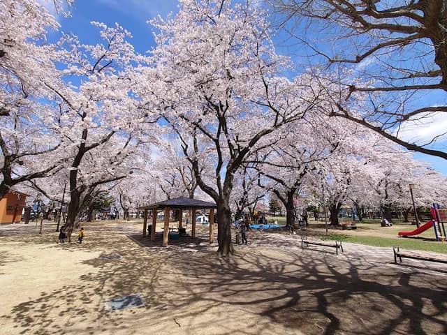 Central Park - Image 1