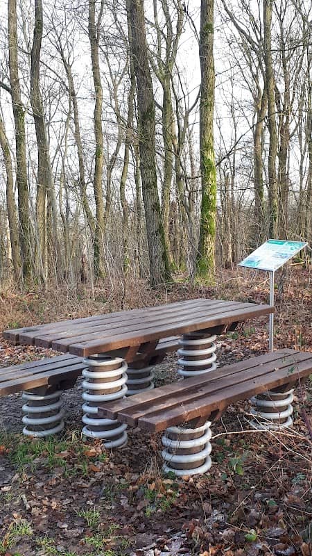 Aussichtspunkt Federnbänke Grueber - Image 2