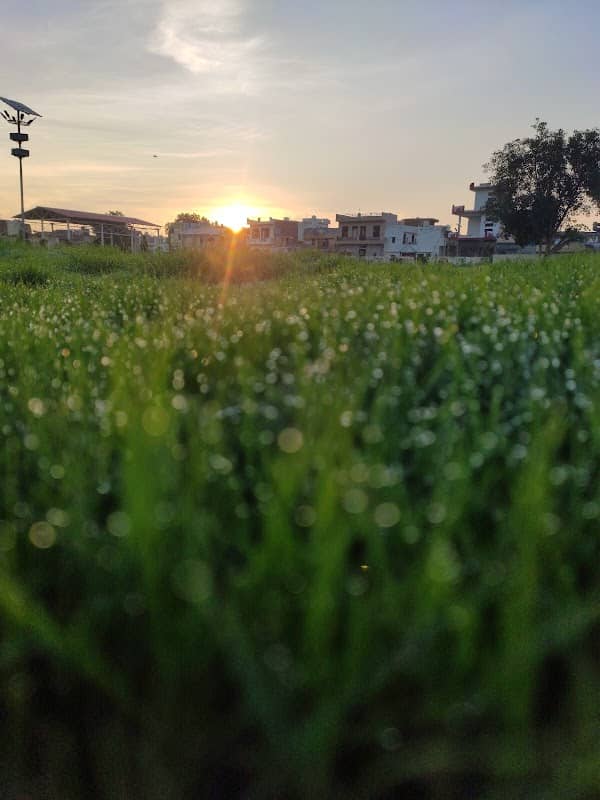 Park Agwanpur - Image 1