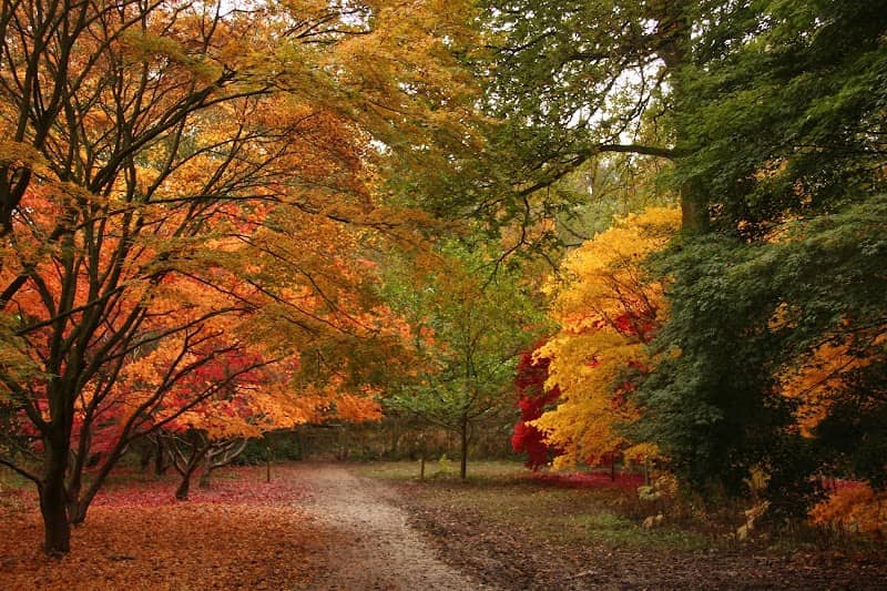 Queenswood Arboretum - Image 1