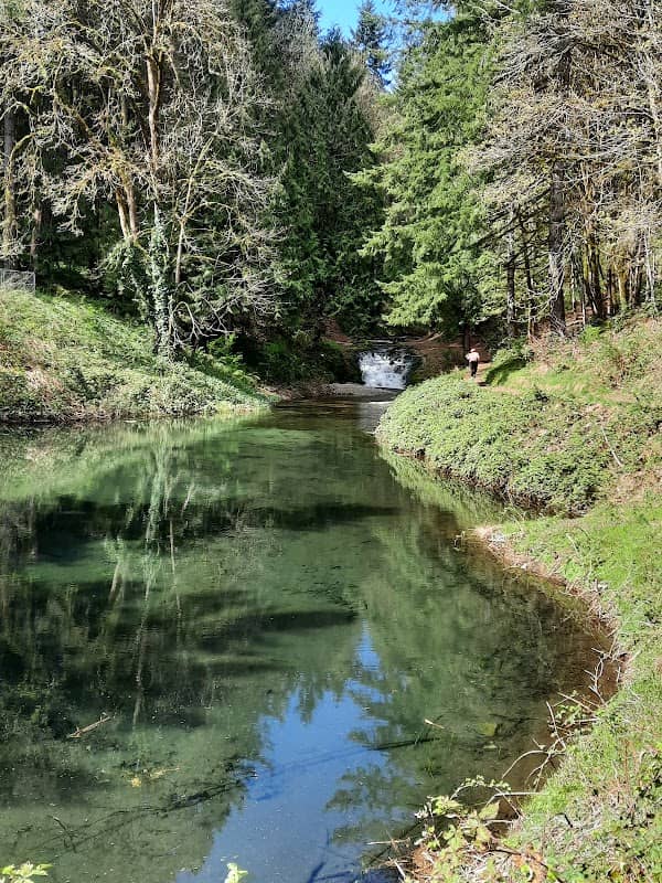 Shelton Creek Dam - Image 1