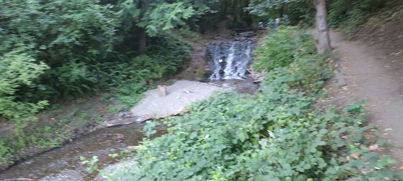 Shelton Creek Dam - Image 2