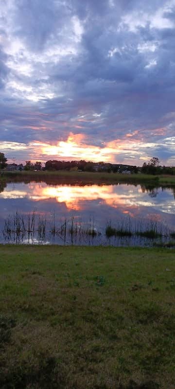 Lerner Conservation Park - Image 2