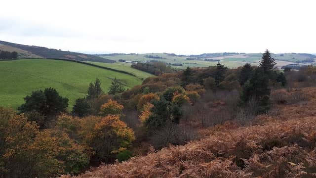 Elrick Country Park - Image 1