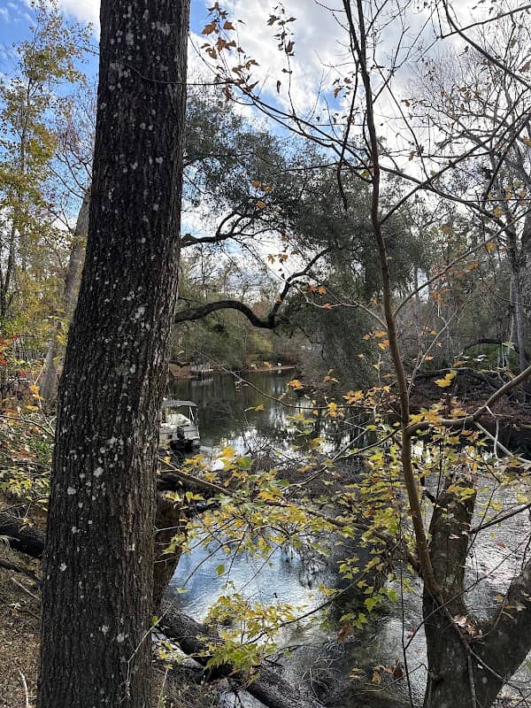 Mermaid Spring - Image 1