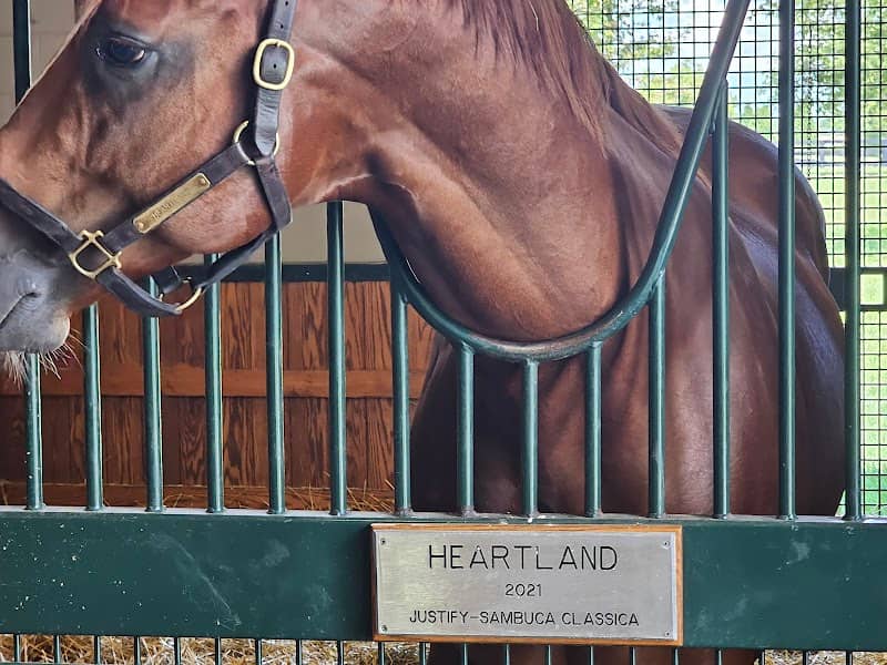 WinStar Farm - Horse Country Tours - Image 3