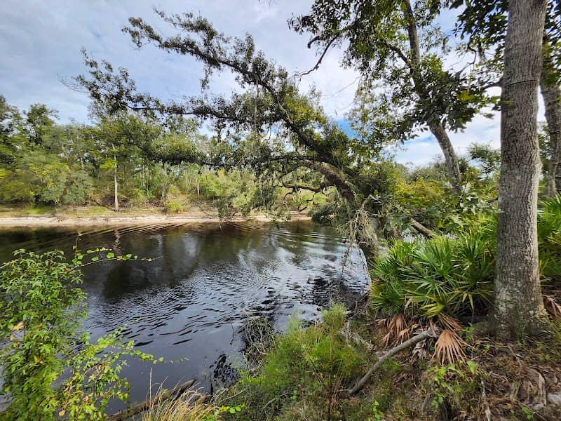 Florida Trail Suwannee River Boat Launch Trailhead - Image 1