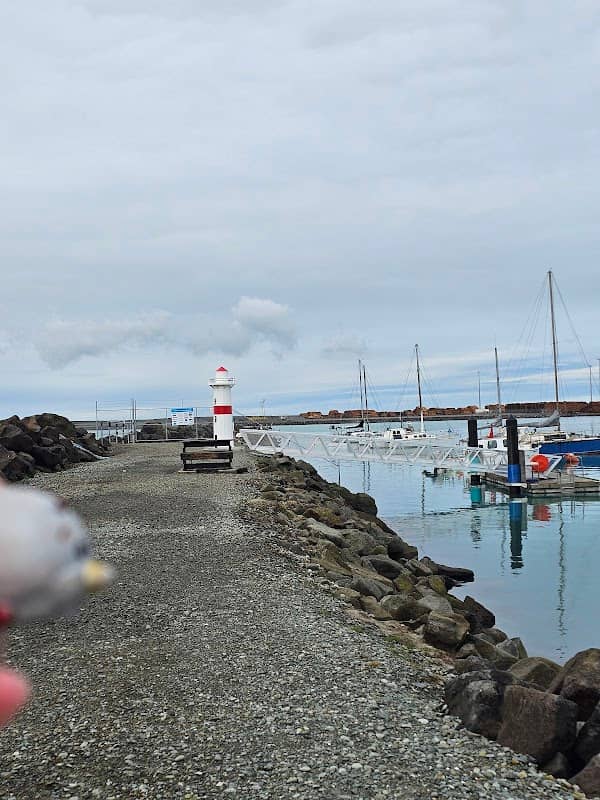 Fairy Light House - Image 1