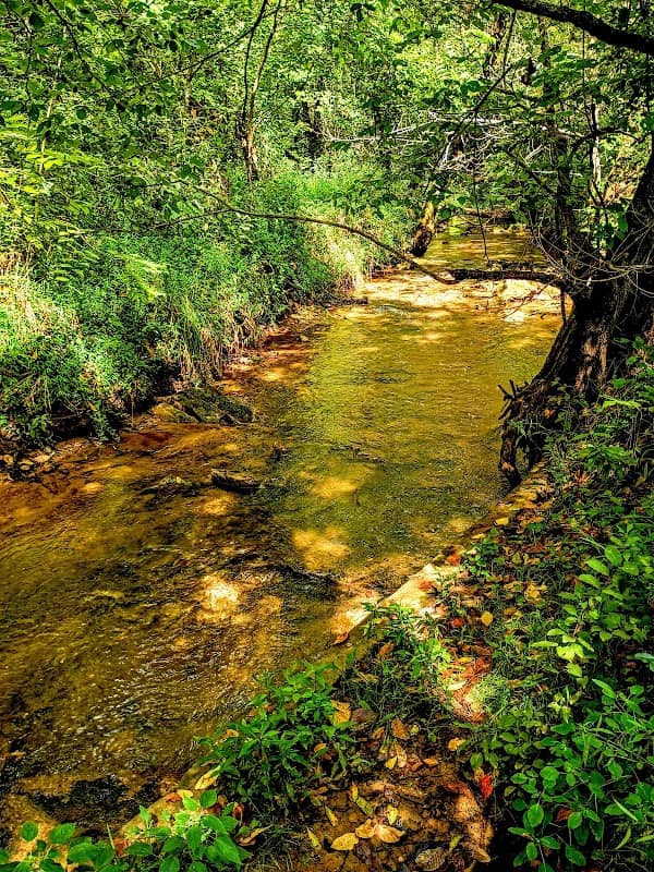 Tusculum Trail Trailhead - Image 1