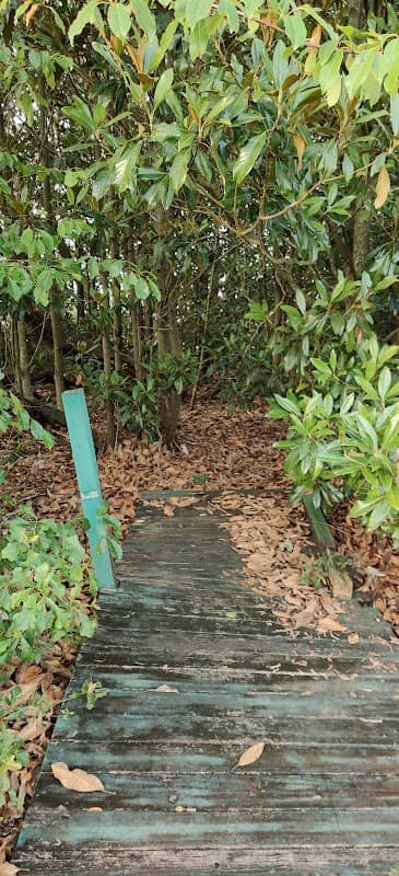 Magnolia Tree Park - Image 1