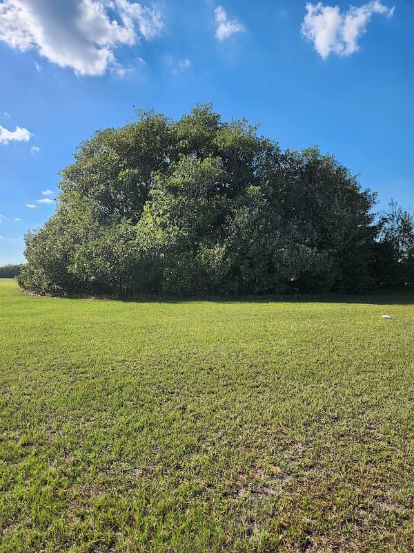 Magnolia Tree Park - Image 2
