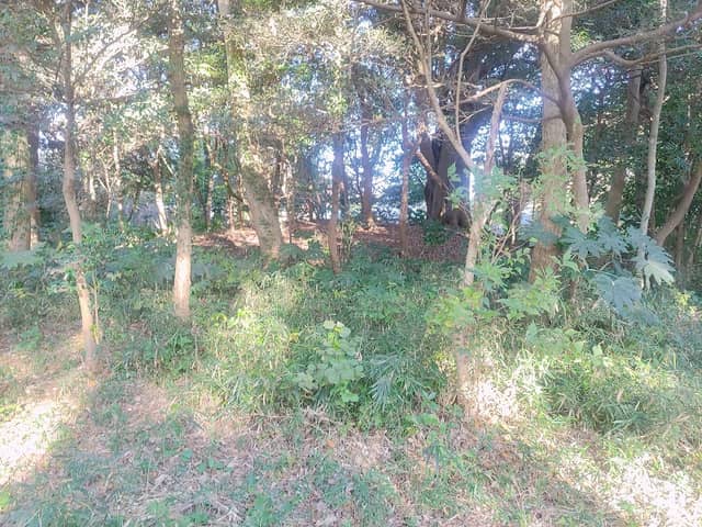 宮中野古墳群 - Image 1