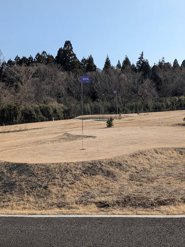 遠山桜 - Image 2