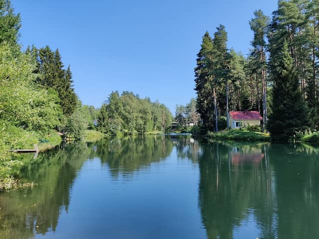Royal Spring - Image 2