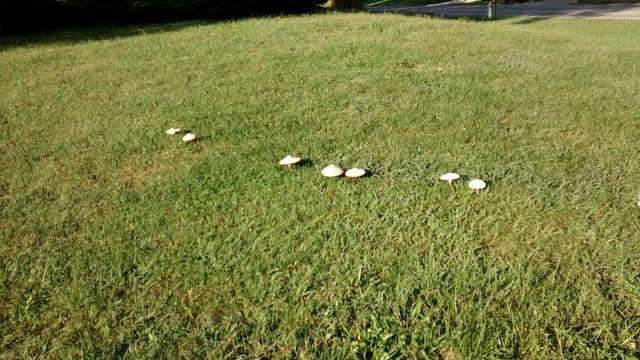 Wathen Park - Image 1