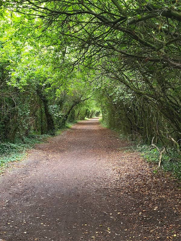 Oakhill Nature Reserve - Image 2