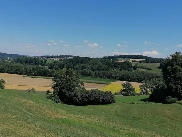 Alfred Klopfenstein - Image 1