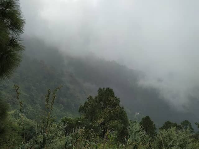Timber Trail Kasauli - Image 1