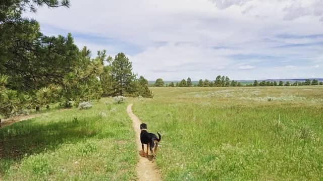 Pawnee Trail State Land Back 9 - Image 1