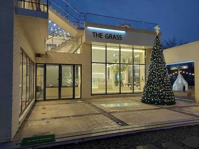 The Grass - Image 1