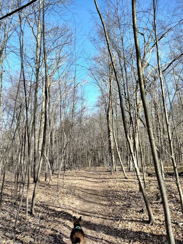 Daniels-Schwarzkopf Conservation Area - Image 1