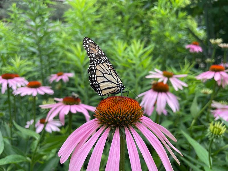 Humphrey Nature Center - Image 2