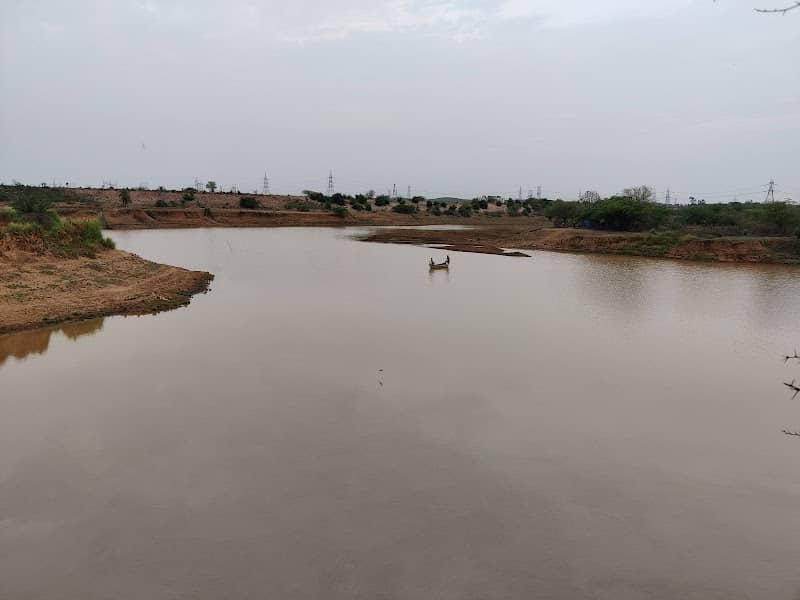 Blue Lotus Lake - Image 1