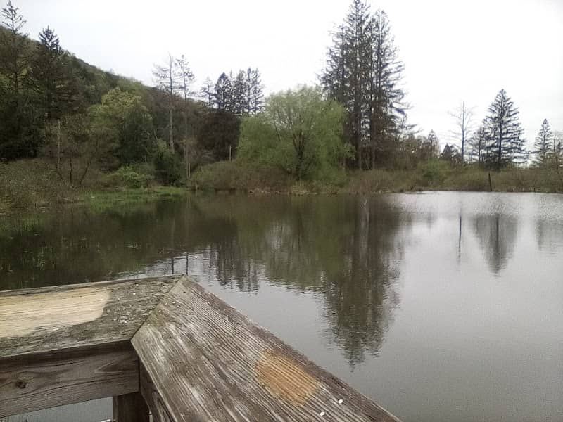 Peninsula on Lake Allegany, boat launch - Image 1