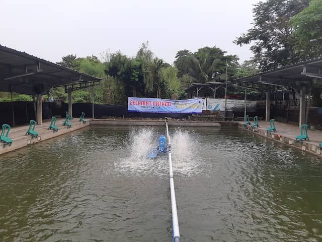 Pemancingan Mutiara Fishing - Image 3