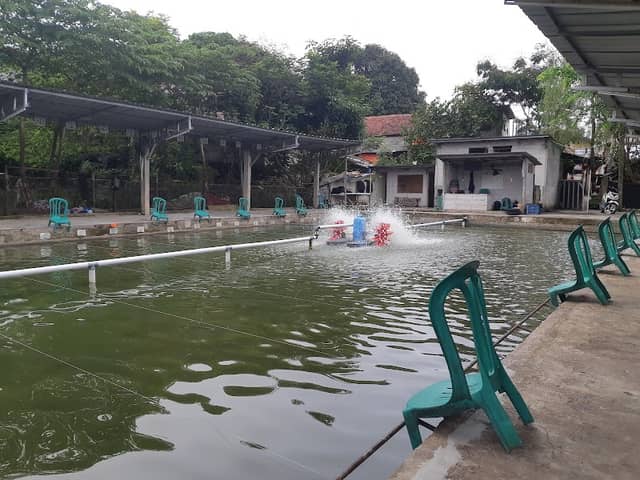 Pemancingan Mutiara Fishing - Image 2