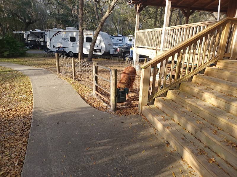 Country Oaks Campground & Rv - Image 1