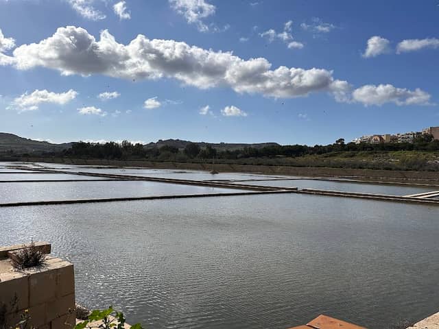 Salina Nature Reserve - Image 1